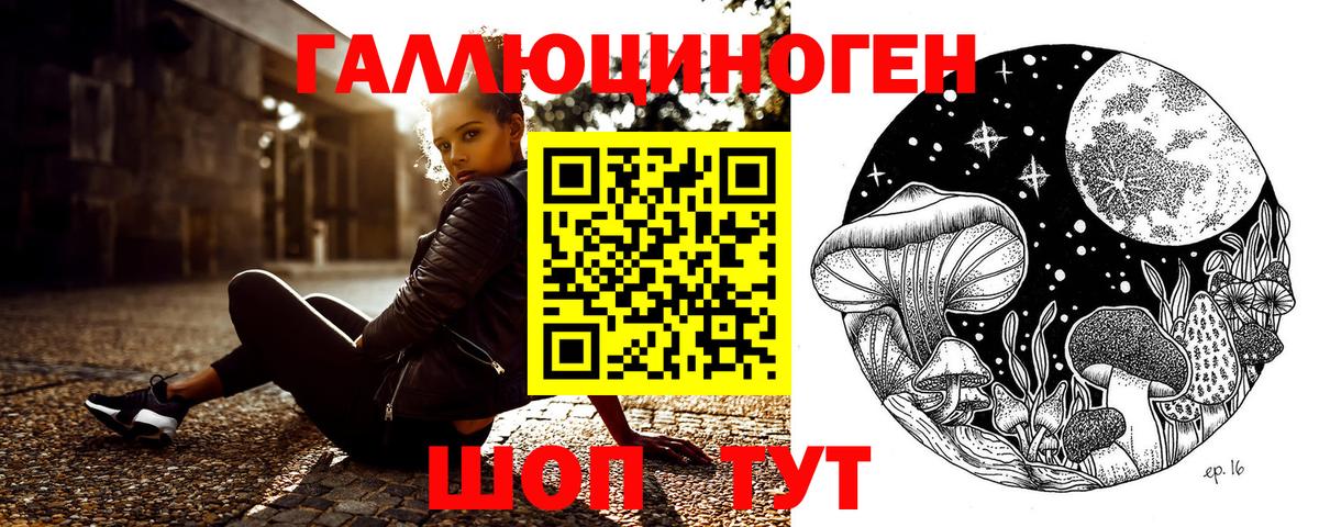Псилоцибиновые грибы прущие грибы Гусь-Хрустальный