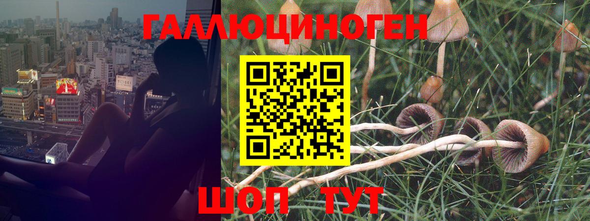 Гусь-Хрустальный  Псилоцибиновые грибы ЛСД  Вход с VPN 